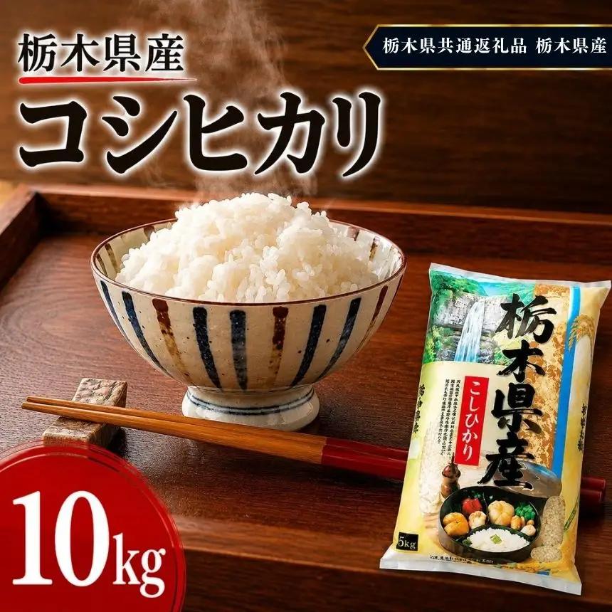 【令和8年産 新米】栃木県産 お米 白米 こしひかり 10kg | 栃木県 矢板市　栃木県共通返礼品 栃木県産