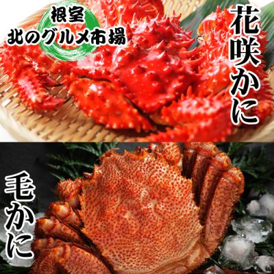 ふるさと納税 根室市 毛かに400〜550g、花咲300〜450g前後 B-76029