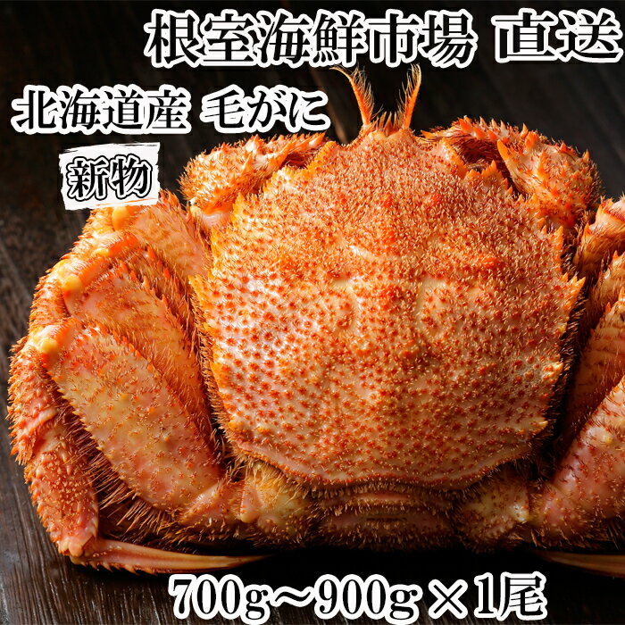 【ふるさと納税】根室海鮮市場＜直送＞ボイル毛がに700～900g×1尾 C-28060