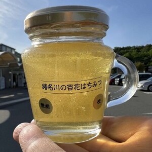 猪名川の百花はちみつ(桜)【1496470】