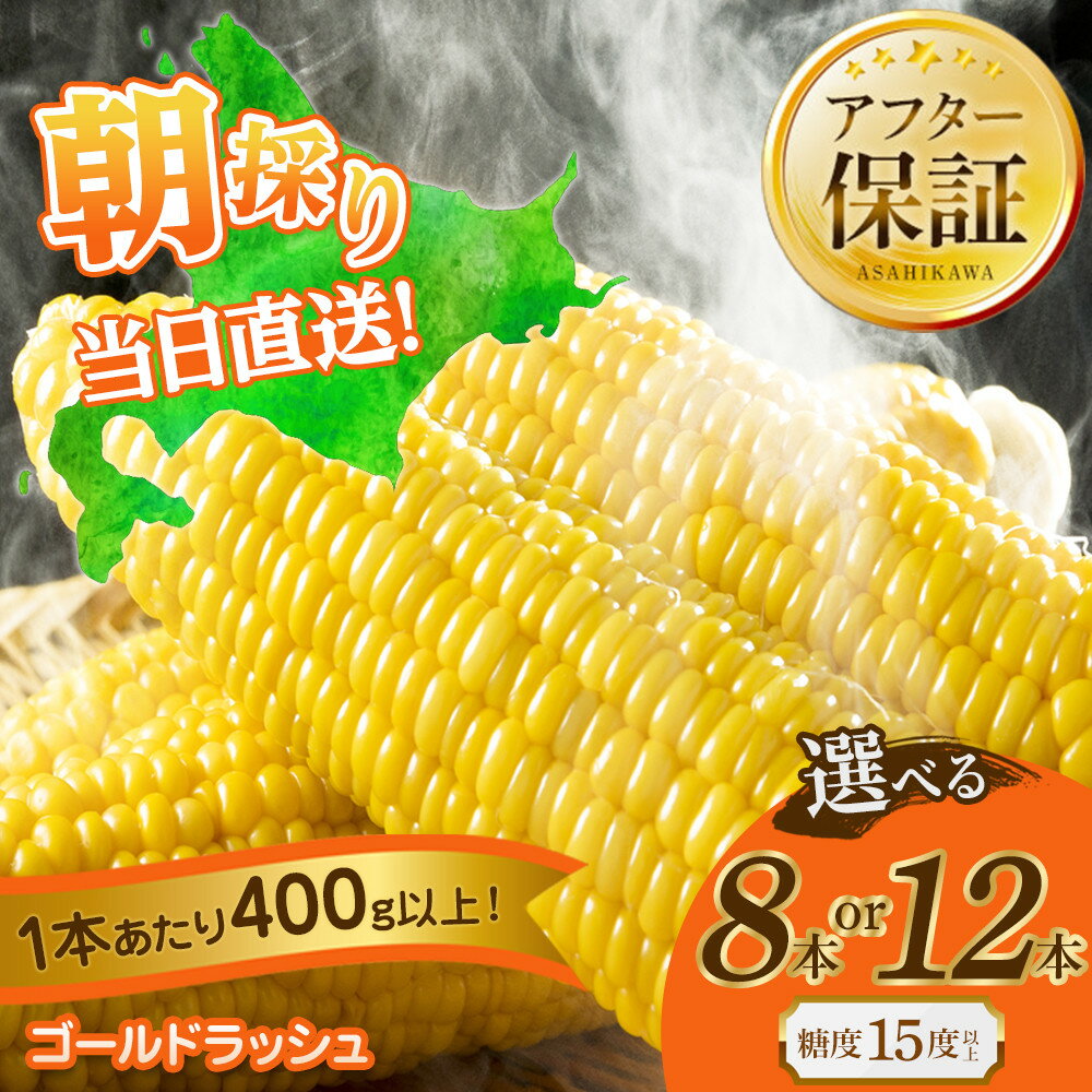 【ふるさと納税】【2026年先行予約】黄金色で大粒 ゴールドラッシュ 8本 3.2kg（2026年8月下旬から発送開始予定） | とうもろこし ゴールドラッシュ 甘い 糖度 夏野菜 野菜 旬 旭川市ふるさと納税 北海道ふるさと納税 旭川市 北海道 送料無料