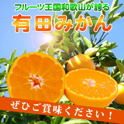 AT6315_【ご家庭用】有田みかん 約7kg (2L、3Lサイズ)【湯浅町】