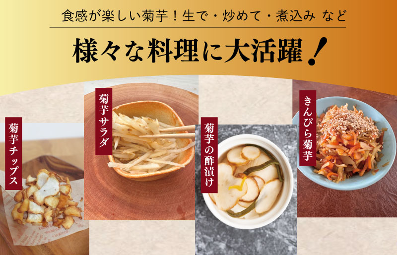 生 菊芋 1kg イヌリン 国産 いも イモ 芋 菊芋茶 菊芋チップス SDGs エコ サスティナブル 生菊芋 素揚げ 野菜