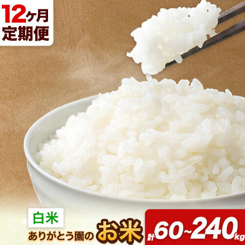 【ふるさと納税】【12ヶ月定期便】 令和7年産 米 岡山県産 ありがとう園のお米 白米 選べる 5kg 10kg 15kg 20kg ありがとう園《お申込み月の翌月から出荷開始》岡山県 矢掛町 米 コメ ひのひかり きぬむすめ 定期便 定期