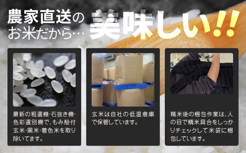 先行予約 定期便 12ヶ月連続お届け コシヒカリ 2kg (1袋) × 12回 計24kg 白米 ブランド米 2026年10月上旬以降順次発送 [F-8914]