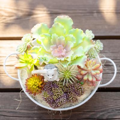 ふるさと納税 山梨市 いたずらハリネズミと多肉植物のアーティフィシャルグリーン |  | 02