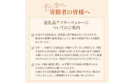  OD3 佐賀牛100％の贅沢ハンバーグ 150g×6個 手造り 佐賀牛 国産牛 和牛 ブランド牛 牛肉 肉  人気 おすすめ 佐賀県 太良町