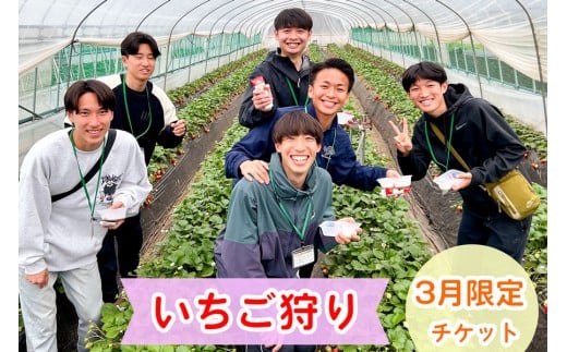 和田農園《3月》平日限定 いちご狩りチケット｜いちご 苺 体験 食べ放題 時間無制限 印西 千葉 [0532]