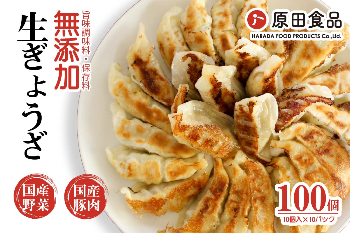 【ふるさと納税】ハナちゃん生ぎょうざ 冷凍餃子 100個セット｜大阪 交野市 餃子 ぎょうざ ギョーザ 水餃子 簡単 羽付き 焼くだけ 国産素材 生ぎょうざ おかず 羽根つき餃子 [0272]