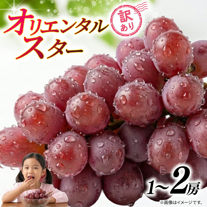 【ふるさと納税】 訳あり オリエンタルスター ( 種なし ） 【選べる容量】 1房～2房 450g～900g 2026 年発送分 数量限定 先行予約 ぶどう 農家直送 果物 果実 旬 新鮮 お取り寄せ ふるさと納税 送料無料 千葉県 銚子市 加瀬農園 【9月中旬から9月下旬に順次発送予定】