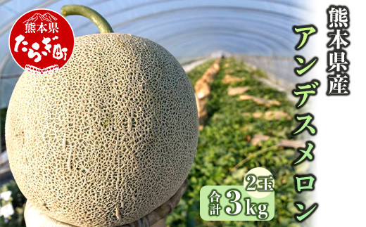 【2023年4月下旬より発送開始】 熊本県産 アンデスメロン 約3kg 2玉 メロン