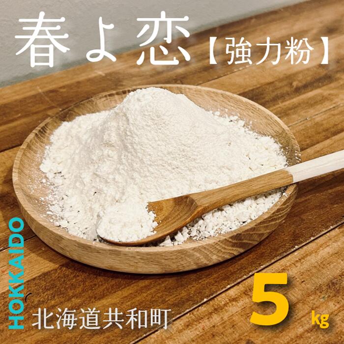 【ふるさと納税】北海道共和産【春よ恋】強力粉1kg×5袋(計5kg) パン お菓子 スイーツ