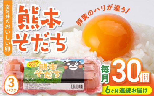 
【全6回定期便】熊本そだち 30個入り ( 10個入り × 3パック ) 熊本県産 山都町 たまご 卵 玉子 タマゴ 鶏卵 オムレツ 卵かけご飯 朝食 料理 人気 卵焼き【蘇陽農場】[YBE031]
