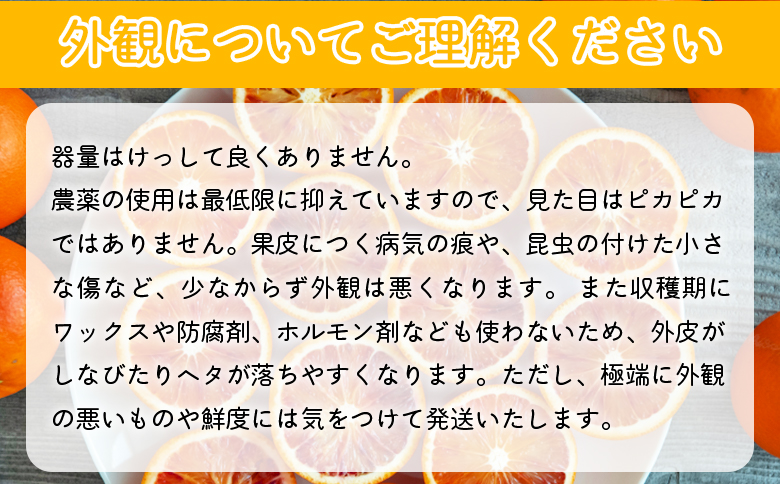 【先行予約】＜無茶々園のブラッドオレンジ 約3kg＞ フルーツ 果物 みかん ミカン 蜜柑 柑橘 期間限定 季節限定 無茶々園 食べて応援 特産品 愛媛県 西予市