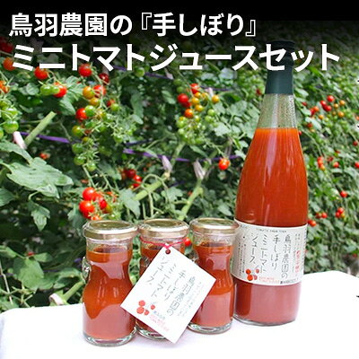 【ふるさと納税】鳥羽農園の『手しぼり』ミニトマトジュース セット 北海道 南富良野町 トマト ミニトマト ジュース 飲み物 飲料 野菜 野菜ジュース 詰合せ 贈り物 ギフト リコピン とまと 　お届け：2026年10月中旬以降出荷