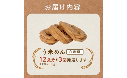 【3か月定期便】グルテンフリー 米粉で作った麺「う米めん」玄米タイプ12食入り×3回 F21T-458