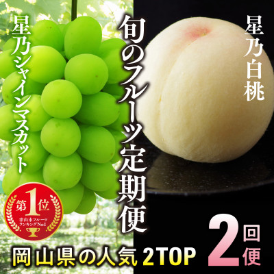 【発送月固定定期便】【人気セット】星乃フルーツ 桃+シャインマスカット全2回【配送不可地域：離島・北海道・沖縄】【4067234】