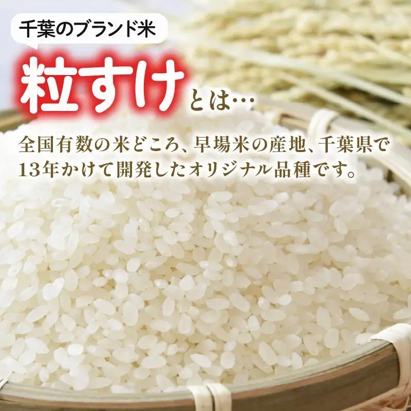 【先行予約】 令和8年産 無洗米 粒すけ 5kg 【 無洗米 】