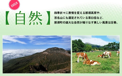 那須温泉旅館協同組合 ご宿泊利用券 60,000円分（3,000円×20枚）〔I-9〕｜宿泊 旅行 チケット 宿泊券 温泉 露天風呂 旅行券 ホテル 観光 国内旅行 那須 栃木県 那須町