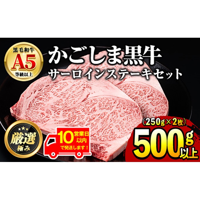 【30963】《10営業日以内に発送！》鹿児島県産黒毛和牛！A5等級サーロインステーキ(計500g・約250g×2枚) 国産 牛肉 肉 冷凍 サーロイン 鹿児島 ステーキ 焼肉 BBQ バーベキュー 【前田畜産たかしや】