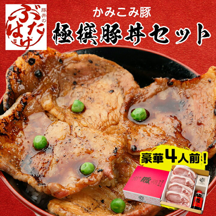【ふるさと納税】豚丼のぶたはげ「極撰豚丼セット4人前」_ 肉 豚肉 豚丼 セット ぶた丼 豚 ぶた ロース ロース肉 豚ロース スライス 真空パック 国産豚 たれ タレ 丼 おかず 惣菜 お弁当 北海道 帯広 ギフト プレゼント 冷凍 送料無料 【配送不可地域：離島】【1205703】