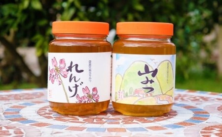 はちみつ 純はちみつ れんげ＆やまみつ 国産 はちみつ【各1kg】