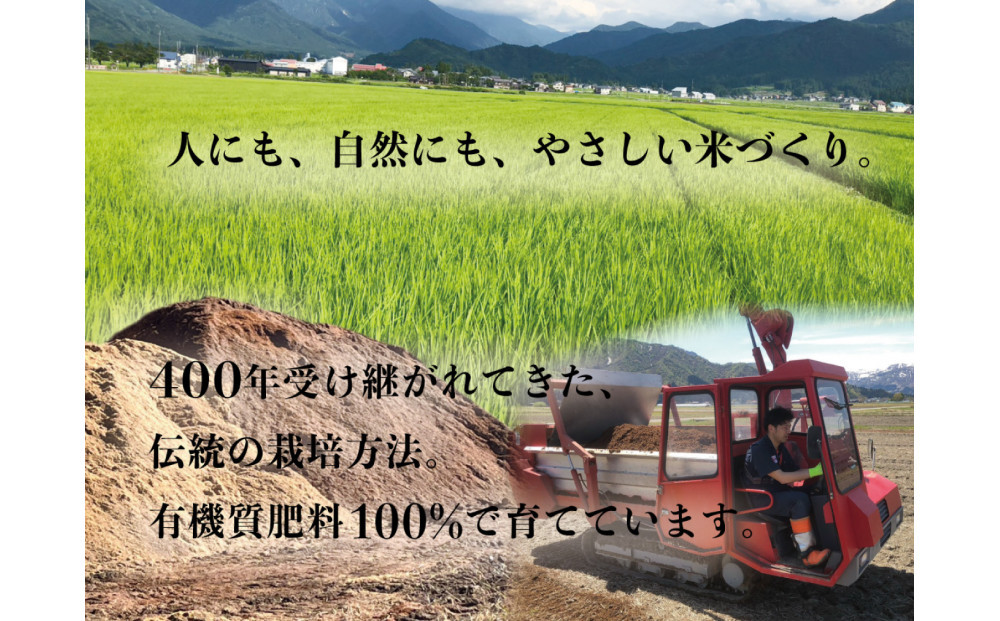 定期便全12回【南魚沼市食味コンテスト優秀賞】南魚沼産コシヒカリ 白米5kg ｜薬師米 令和7年産【定期便 銘柄米 ブランド米 精米 こしひかり コシヒカリ 魚沼産 新潟米 産地直送 お米 米 こめ 