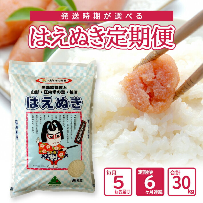 【ふるさと納税】≪6ヶ月定期便≫ はえぬき 5kg×6ヶ月連続 計30kg 山形県産 ご希望期間の毎月下旬頃お届け 農協 JA 米 お米 精米 白米 ごはん 東北 酒田市 庄内 3回