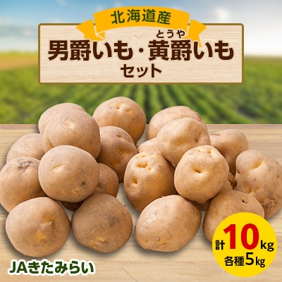 JAきたみらい 「男爵いも×5kg」・「黄爵(とうや)いも×5kg」セット【配送不可地域：離島・沖縄県】