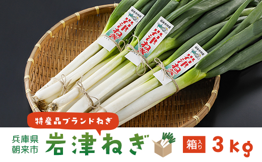 朝来市特産「岩津ねぎ」3kg（箱入り） AS4BC15