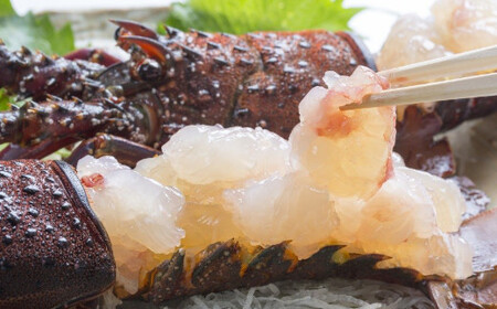 【冷凍】伊勢海老 1kg（2尾～5尾程度） 活冷伊勢海老