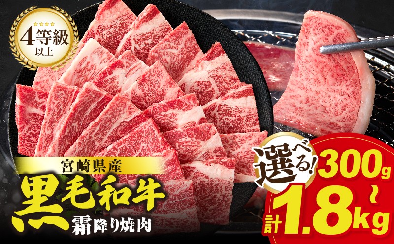 
                  【内容量・発送時期が選べる】≪肉質等級4等級以上≫宮崎県産黒毛和牛霜降り肩ロース(焼肉)計300g 計600g 1.2kg 1.8kg 肉 牛 牛肉 おかず 国産_T030-1938-SKU-C
                