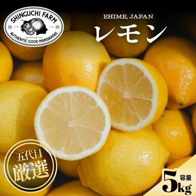 ふるさと納税 八幡浜市 【皮まで食べられる】五代目が厳選!レモン 5kg 防腐剤・ワックス不使用 愛媛県【D70-21】
