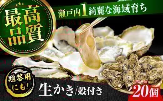 広島牡蠣の老舗！安心・安全の新鮮牡蠣【生牡蠣】牡蠣 かき 殻付き 20個入り 生食用 魚介類 海鮮 広島県産 江田島市/株式会社かなわ [XBP008] 牡蠣 生食 むき身 殻付き 殻付 殻 かき カキ 生牡蠣 広島牡蠣 オイスター カキフライ 魚介類 魚介 貝類 海鮮 広島県産 国産 産地直送 贈答 ギフト 特産品