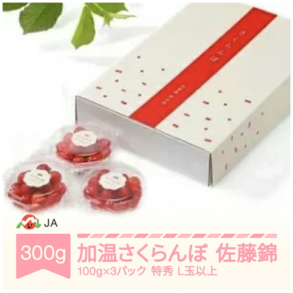 【ふるさと納税】【先行予約】 加温ハウス さくらんぼ 佐藤錦 2026年産 令和8年産 ダイヤパック100g×3P 特秀L玉以上 早出し 送料無料 サクランボ
