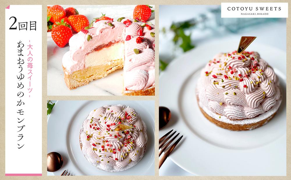 【全6回定期便】「贅沢スイーツが毎月届く！」大人のスイーツ 定期便/ 心優 −Cotoyu Sweets−