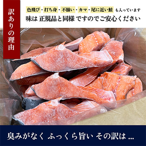 【訳あり】知床斜里産 天然秋鮭の切り身 約1.5kg 船上活締めで鮮度抜群!(無塩タイプ)【配送不可地域：離島】【1430538】