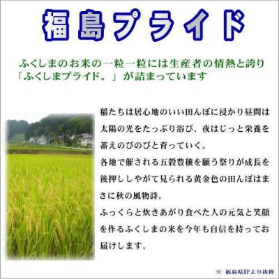 ふるさと納税 田村市 【令和6年産】田村市産コシヒカリ10kg(5kg×2袋) |  | 03