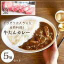 【ふるさと納税】ぶつぎりたんちゃん名物料理！牛たんカレー 5個セット 牛タン 惣菜冷凍食品 ビーフ 惣菜 カレー