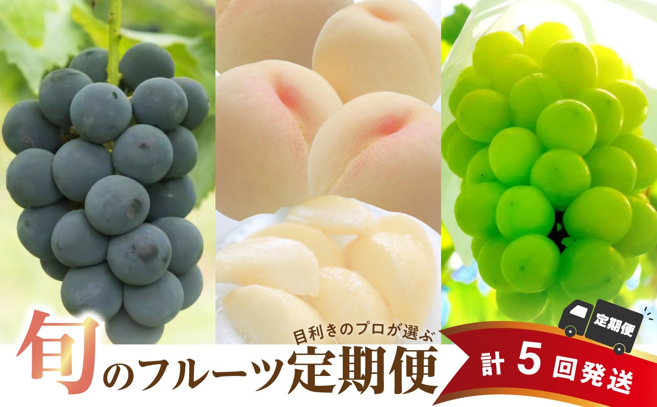 
                  【定期便】岡山県産 白桃 約4kg・ぶどう 約5kg 計５回発送【ニューピオーネ シャインマスカット シャイン マスカット 晴王 葡萄 ぶどう 白桃 桃 もも 果物 くだもの フルーツ 定期便 先行受付 先行予約】
                