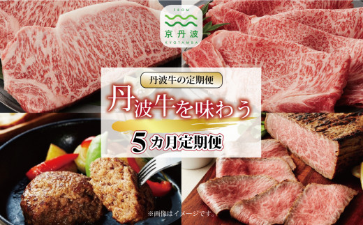 【5回定期便】丹波牛を味わう定期便 5カ月連続 定期便 ( 定期便 和牛 黒毛和牛 京都 丹波 丹波牛 牛肉 すき焼き 焼肉 しゃぶしゃぶ 鍋 ステーキ ローストビーフ ハンバーグ 手作り 霜ふり 赤身 赤身肉 ) ※北海道・沖縄・その他離島への配送不可 [123IZ001R]