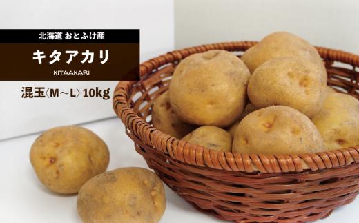 
おとふけ産じゃがいも「きたあかり」10kg（M～Lサイズ）【B28】
