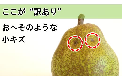 〈訳あり品 家庭用〉 ラ・フランス 約5kg (10～18玉) 《令和6年10月下旬～発送》 『旬の果実 佐藤市右衛門農園』 ラフランス 西洋梨 洋なし 訳あり 果物 フルーツ デザート 山形県 南陽