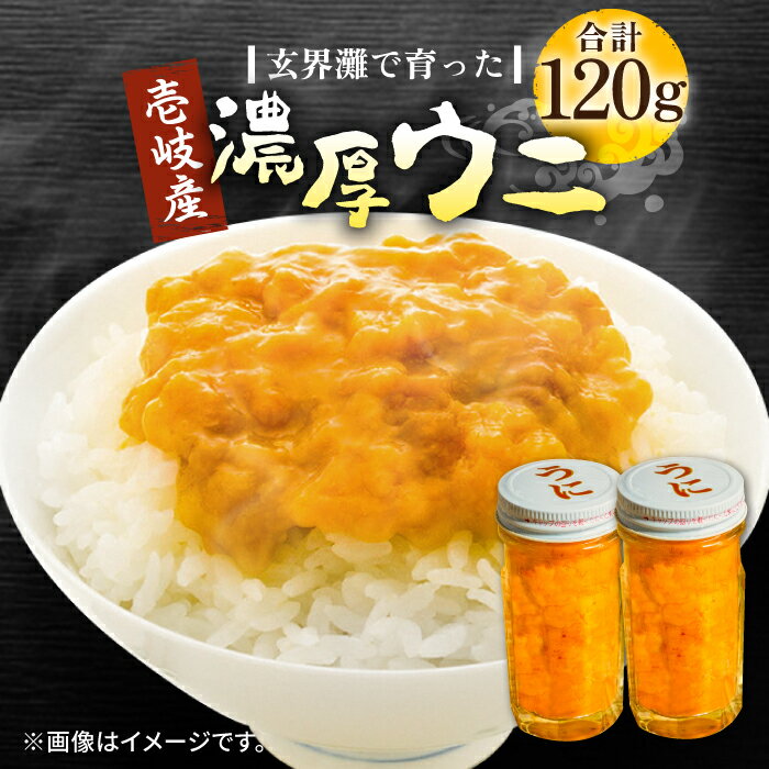【ふるさと納税】壱岐産 濃厚 ウニ 60g ×2本《壱岐市》【合同会社塚元】ムラサキウニ 海産物 海鮮 うに 雲丹 珍味 [JDR022] 31000 31000円 のし プレゼント ギフト 冷凍配送