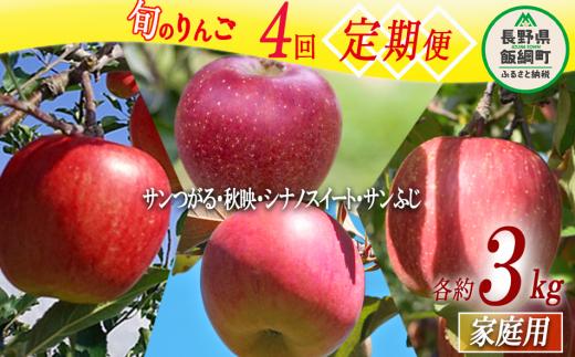 旬のりんご 【 定期便 】 家庭用 3kg × 4回 丸山りんご園 沖縄県への配送不可 2025年9月上旬頃から2025年12月下旬頃まで順次発送予定 令和7年度収穫分 信州 果物 フルーツ リンゴ 林檎 長野 44000円 予約 農家直送 長野県 飯綱町 [0709]