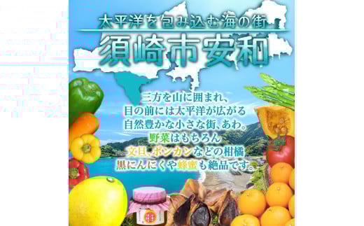 定期便 3回 3ヶ月 訳あり 野菜 詰め合わせ セット 7~8品種 毎月お届け 高知県 須崎市 頒布会 旬の野菜 やさい ベジタブル キット 季節野菜 高知 須崎 国産 人気 半年間 毎月 お届け 季