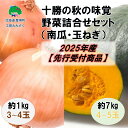 【ふるさと納税】十勝の秋の味覚　野菜詰合せ（南瓜・玉ねぎ）セット【2025年産】（先行受付）【工房みみずく】 " 北海道 十勝 豊頃町 " 先行予約 予約 特産 農家直送 数量限定 送料無料 かぼちゃ カボチャ たまねぎ 味覚 ほくほく ホクホク