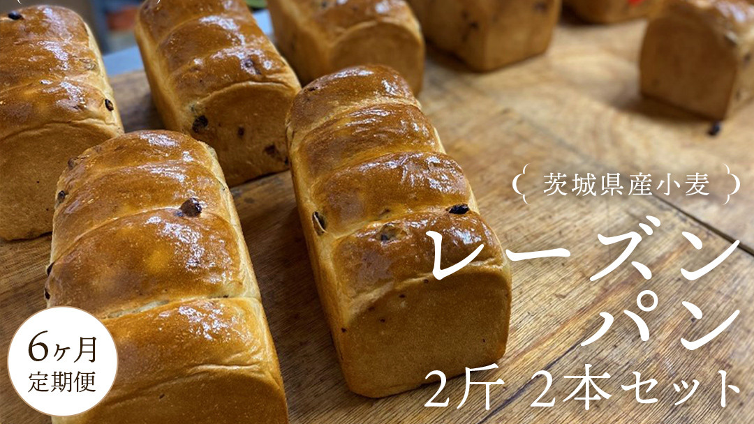 
            【 6ヶ月 定期便 】茨城県産 小麦の レーズンパン 2斤 2本 セット 食パン パン 小麦 冷凍 レーズン プレゼント ギフト [AU021ci]
          
