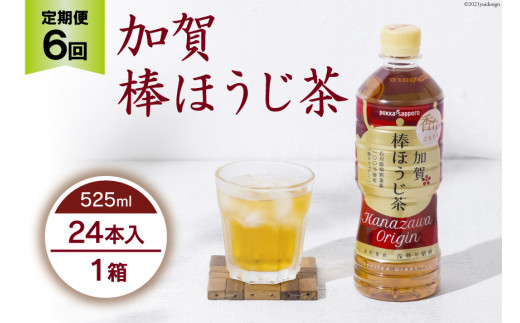 6回 定期便 お茶 ペットボトル 加賀 棒ほうじ茶 525ml 24本 1箱 総計144本 [油谷製茶 石川県 宝達志水町 38600781] ほうじ茶  おちゃ 茶 ちゃ ２４本 500ml 以上 飲料 ドリンク ソフトドリンク 常温 保存 備蓄 常備品 災害 非常用