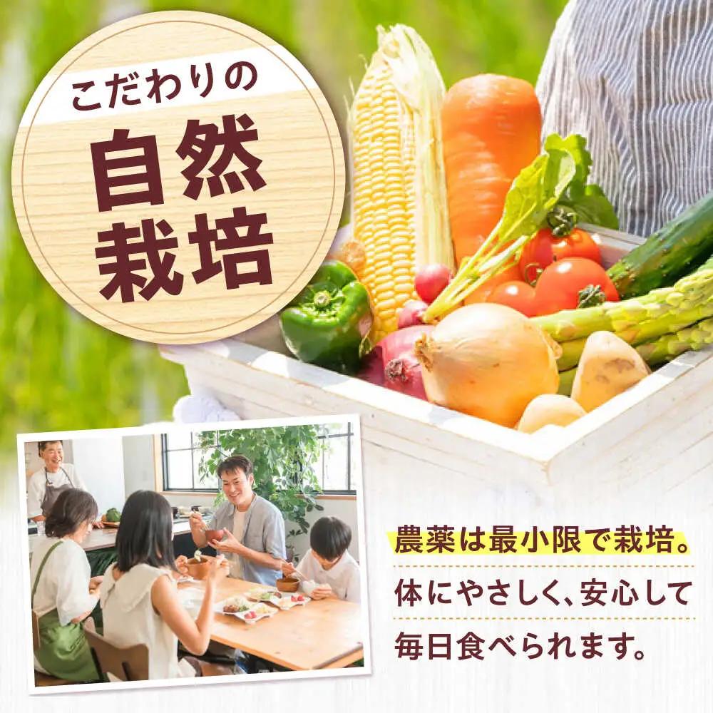 【全12回】高槻野菜 おまかせ詰め合わせ定期便 （10種〜15種）[AOCS021]野菜